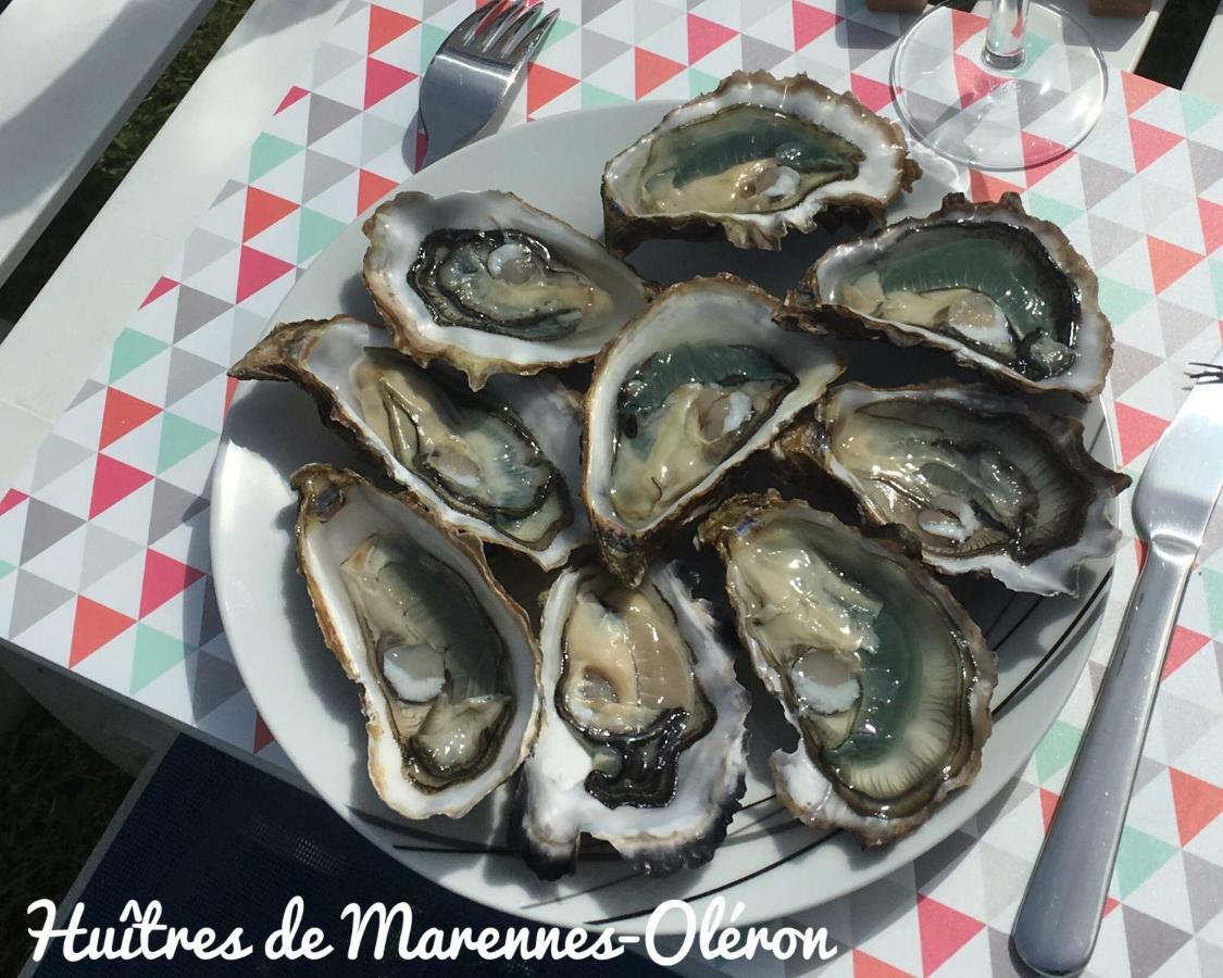 Escale A L'Ile D'Oleron Villa Le Château-dʼOléron Dış mekan fotoğraf